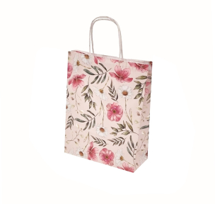 Paper bags - with twisted handles and design